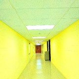 Liminal19