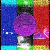 collage1