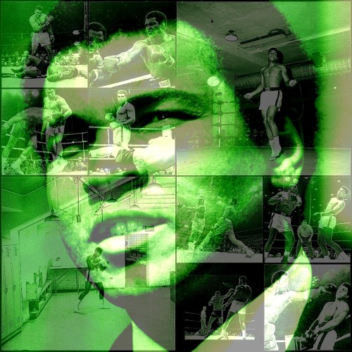 collage3.jpg
