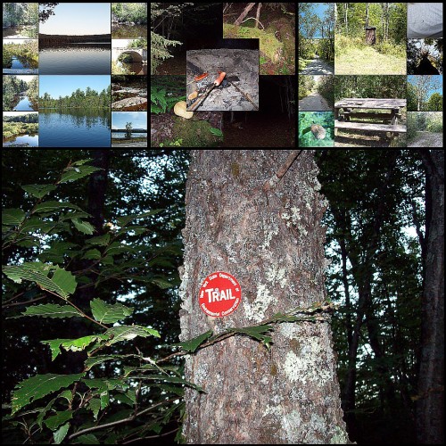 collage4.jpg